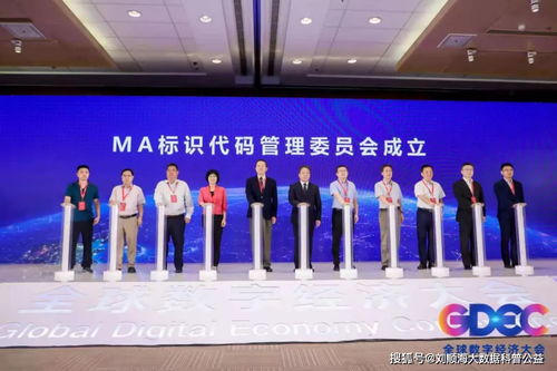 标识解析技术的关键推动 MA标识代码管理委员会的成立及其在计算机信息技术咨询服务中的应用